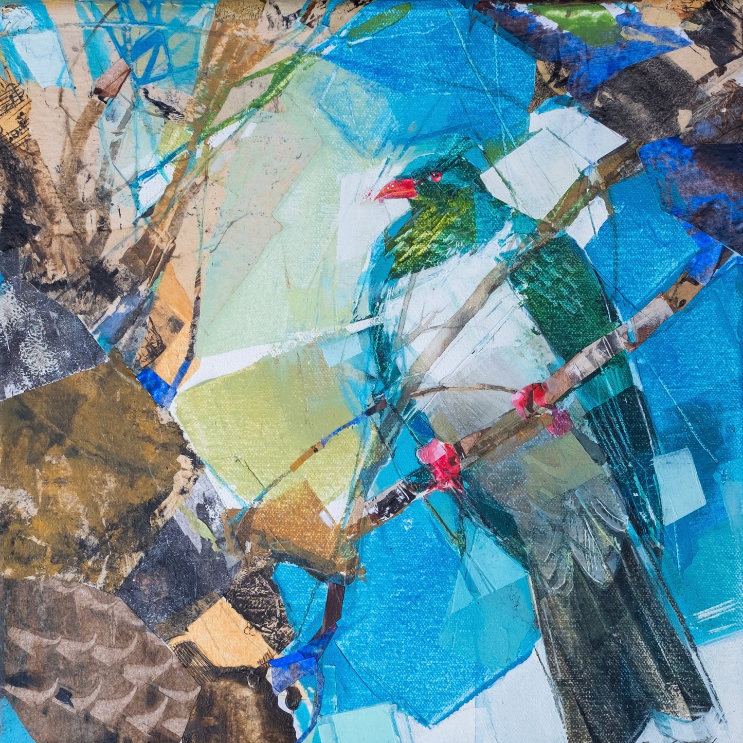 Galina Kim 'Kereru'