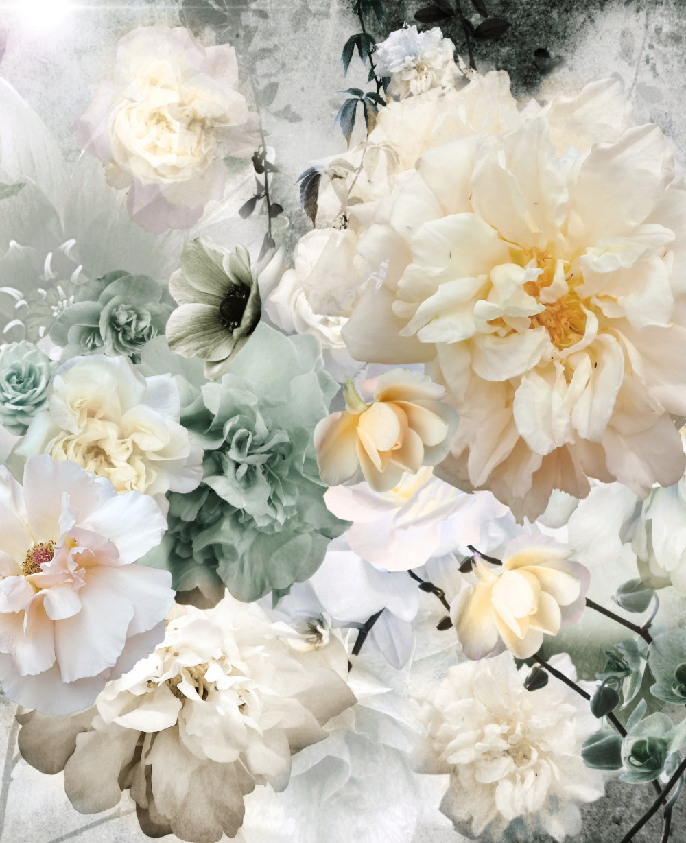 Anne Dillon 'Sanctuary'