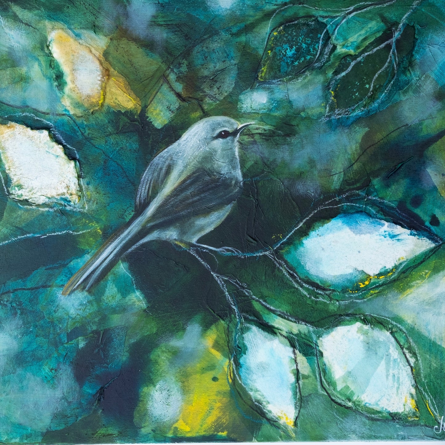 Julie Whyman Grey Warblers Song 2