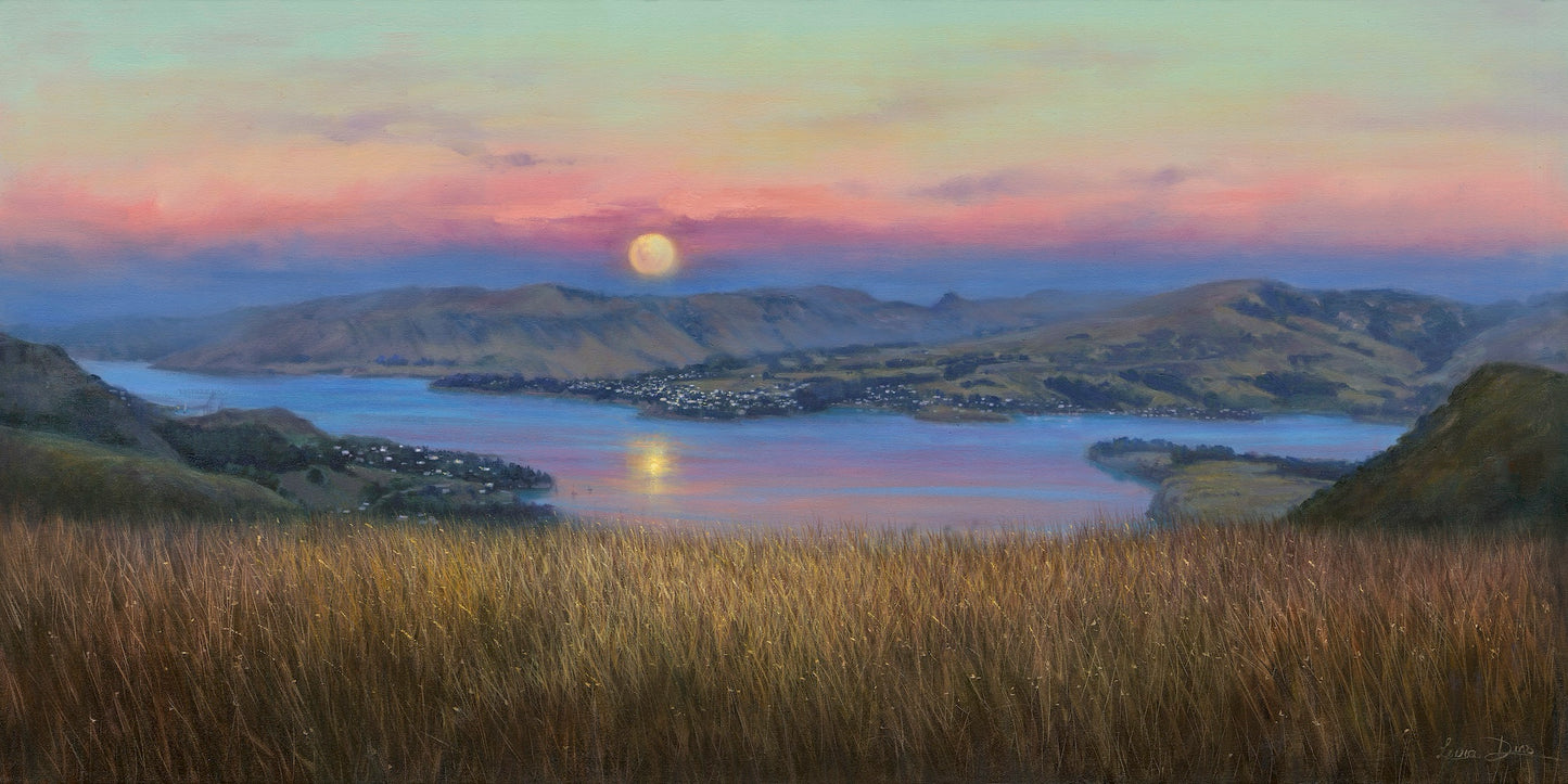 Livia Dias 'Moon rising over Lyttelton Harbour'