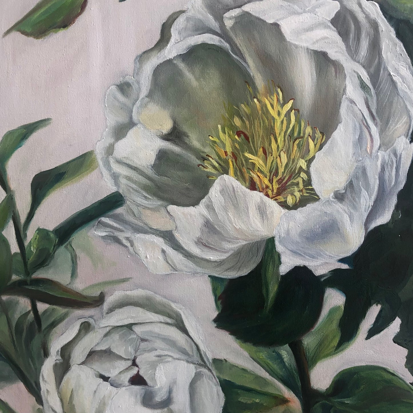 Viv Wotton "Peony for your thoughts'