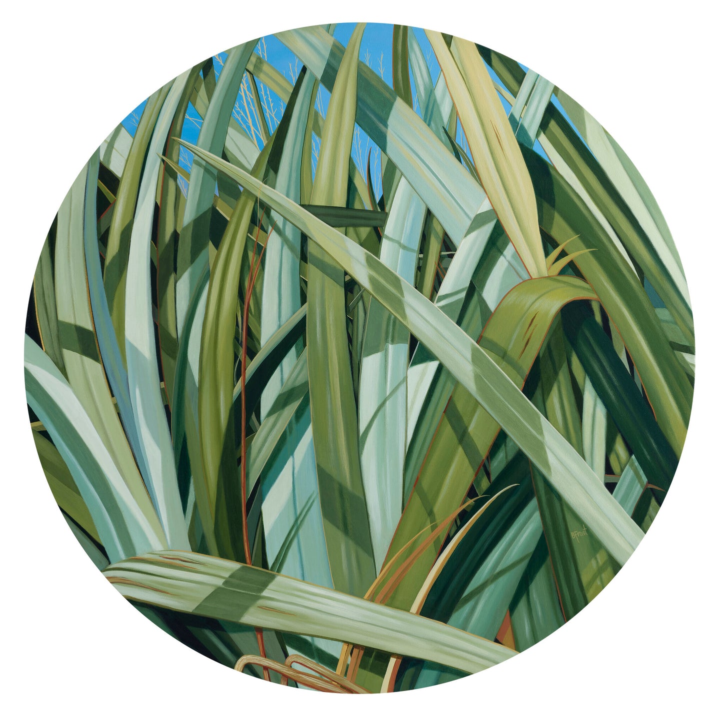 Beverley Frost - 'Harakeke Porthole'