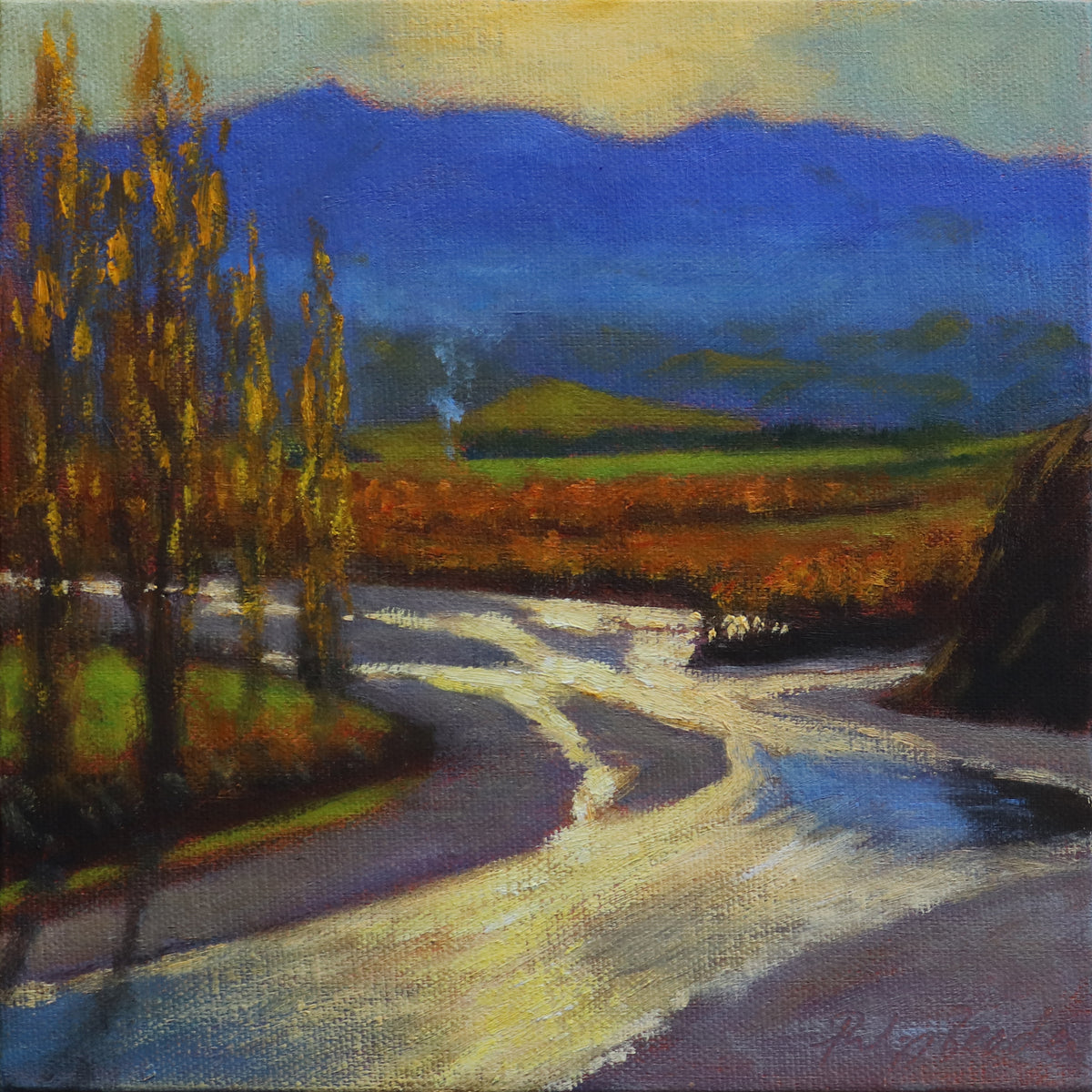 Philip Beadle 'Autumn Rakaia Gorge'