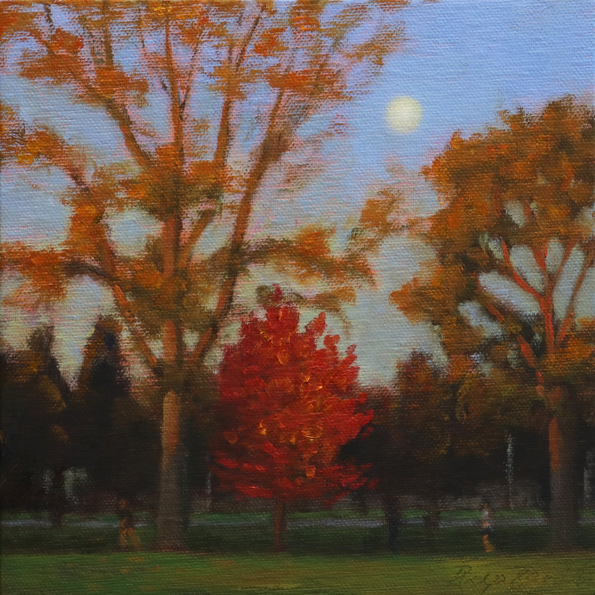 Philip Beadle 'Full Moon Hagley Park'