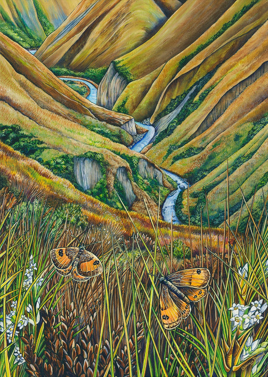 Ginney Deavoll "Among tussock and time'