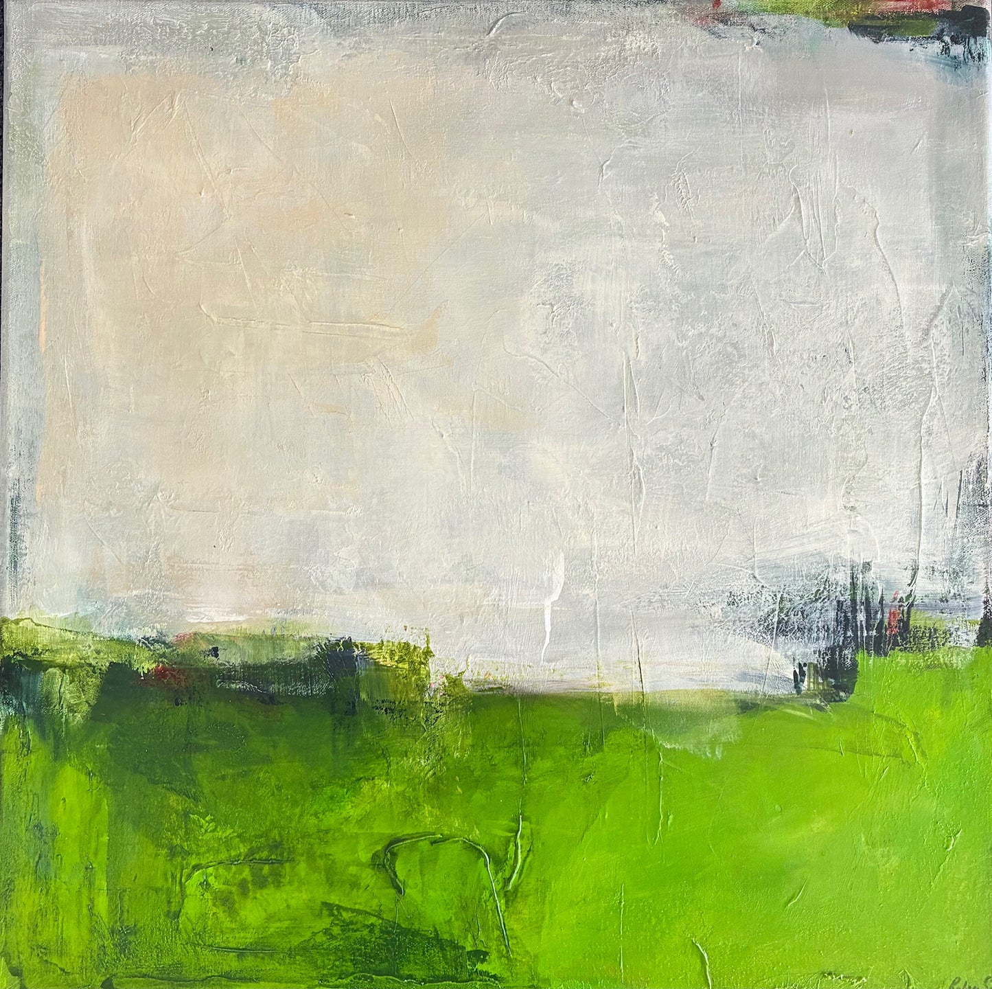 Robyn Smith 'A cut above'