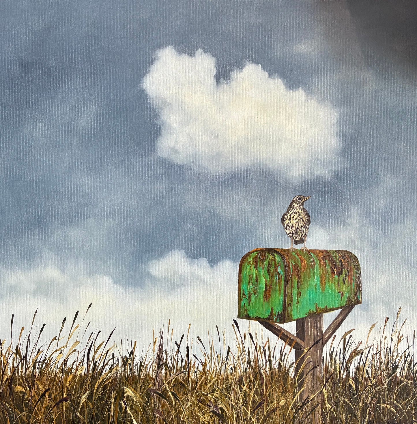 Sally Maguire 'Air Mail'