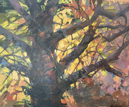 Christine Diedrichs 'Filtered light'