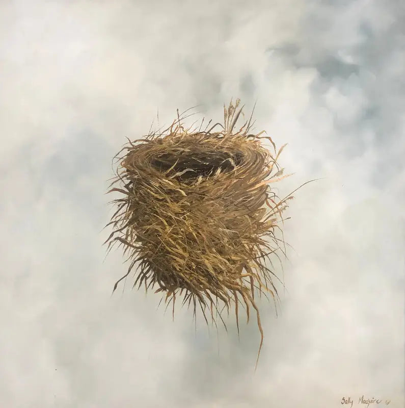 Sally Maguire - 'Nesting II'