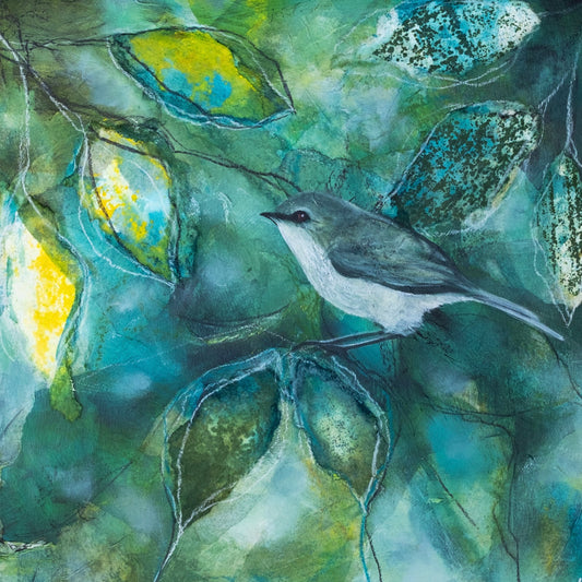 Julie Whyman 'Grey warblers song 1'