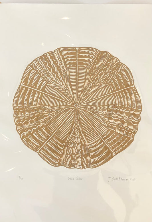 Jessica Scott-Petersen "Sand dollar' 23/50
