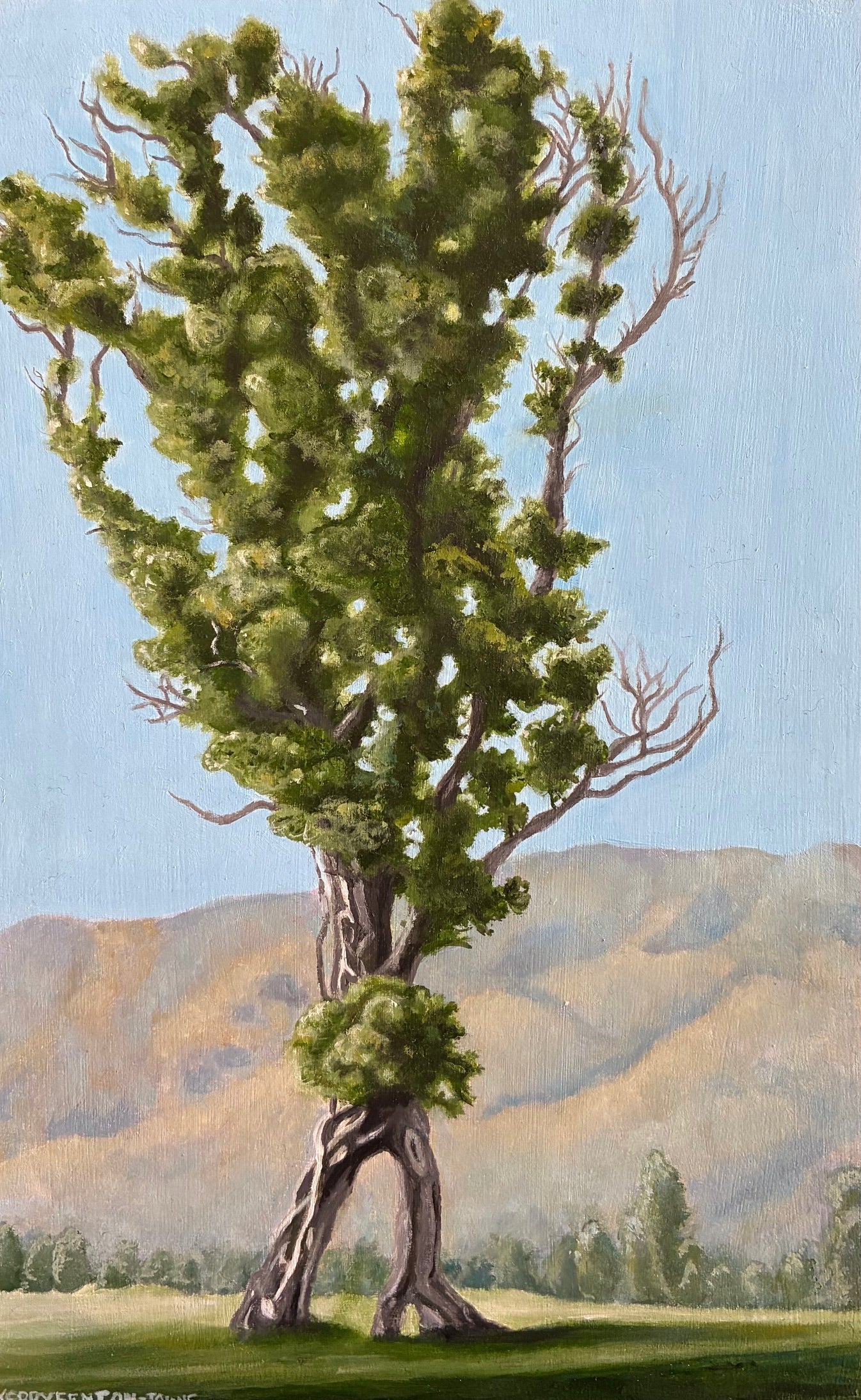 Kerry Fenton-Johns 'Walking Karamea Tree'