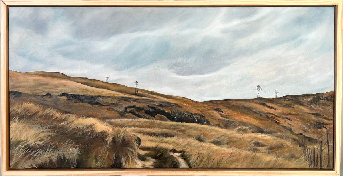 Viv Wotton 'Port Hills Roaming'