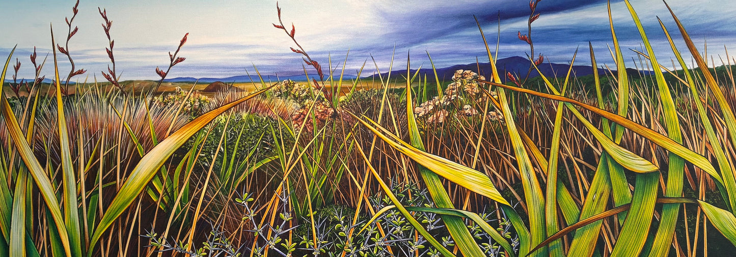 Ginney Deavoll 'The Sand Hill' (Stewart Island collection)