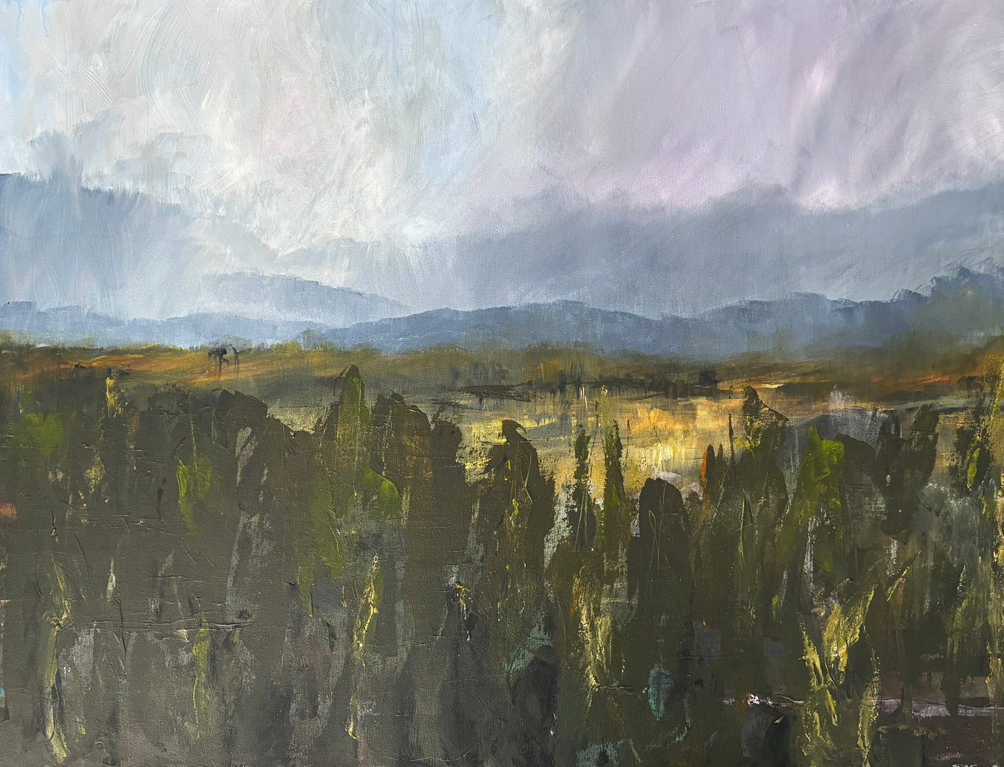 Stephanie Crisp 'The sound inside the land'